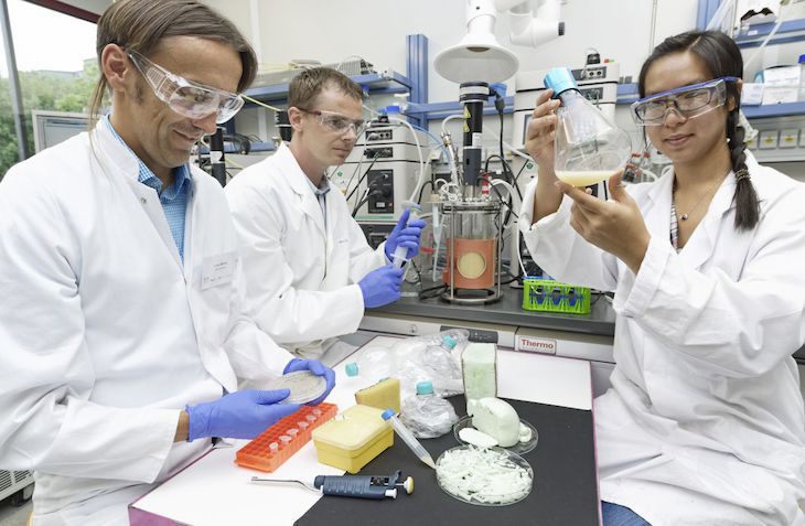 Im Europaeischen P4SB Consortium wollen Wissenschaftler um Professor Dr.-Ing. Lars Blank (li) und Dr. Nick Wierckx (Mi) vom Institut fuer Angewandte Mikrobiologie der RWTH Aachen Mikroben anregen, Bausteine erdoelbasierter Kunststoffe wie PET-Flaschen und PU-Schaeume in Bioplastik umzuwandeln. Im S2-Labor stellt Dr. Wierckx an einem Biofermenter die Rate des Plastikabbaus fest. Wing-Jin-Li prüft die Aktivitaet der Bakterienkultur fuer die Bioplastiksynthese in einem Kolben.