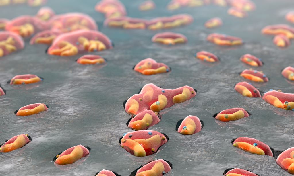 Bakterien können durch Stoffwechselprozesse aus Erzen Metalle herauslösen. Das Verfahren wird Biolaugung (bzw. engl. Bioleaching) genannt.
Am Helmholtz-Institut Freiberg für Ressourcentechnologie des Helmholtz-Zentrums Dresden-Rossendorf wird erforscht, wie mit biotechnologischen Verfahren umweltfreundlich und preiswert Metalle und Rohstoffe gewonnen werden können.