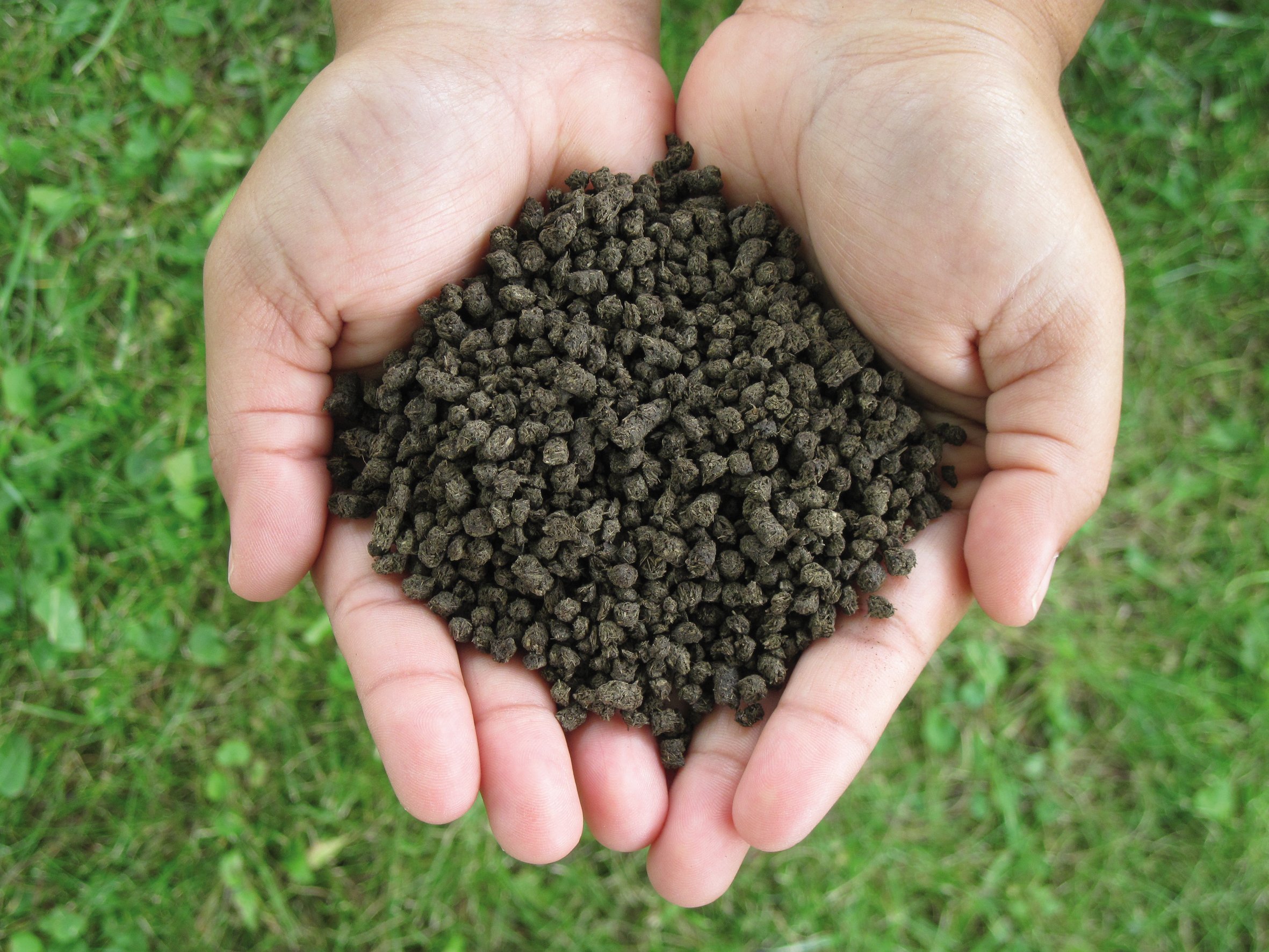 Das BioEcoSIM-Verfahren liefert neben mineralischen Ammonium- und Phosphordüngern auch humusbildende Bodenverbesserer. Bild: Fraunhofer IGB