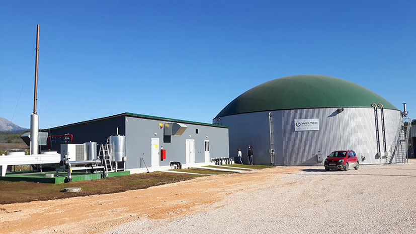 Zur Vergärung werden hauptsächlich Rindermist und Reststoffe aus der Fleischverarbeitung genutzt. Neben diesen Substraten wird der 4.903 Kubikmeter große Edelstahl-Fermenter auch mit Produktions- abwasser und Fetten befüllt. Bild. Weltec Biopower