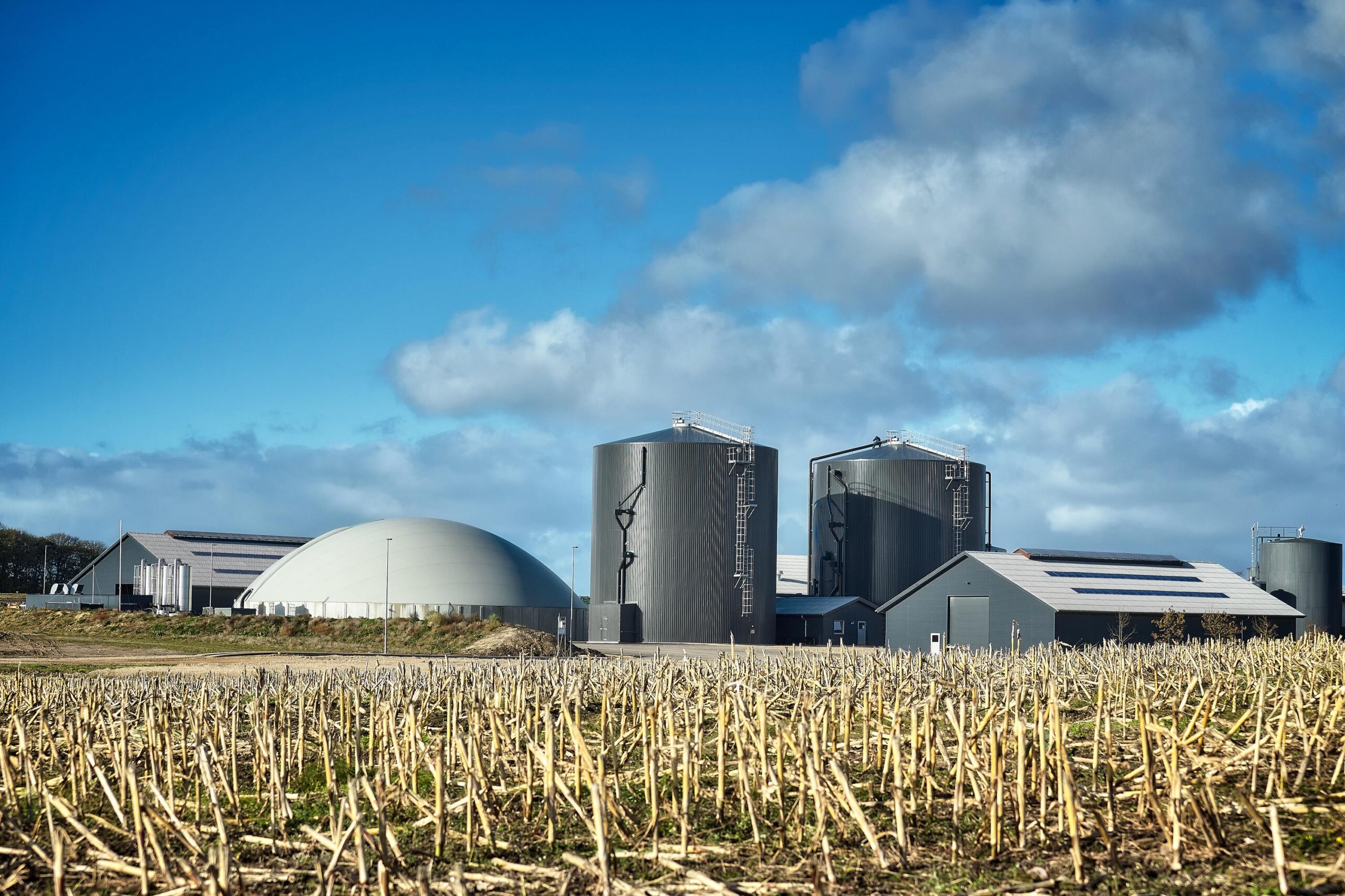 Beim dänischen Landwirtschaftsbetrieb Rybjerggaard stellt eine Biogasanlage die Selbstversorgung sicher und ermöglicht Energieeinsparungen. (Quelle: Landia)