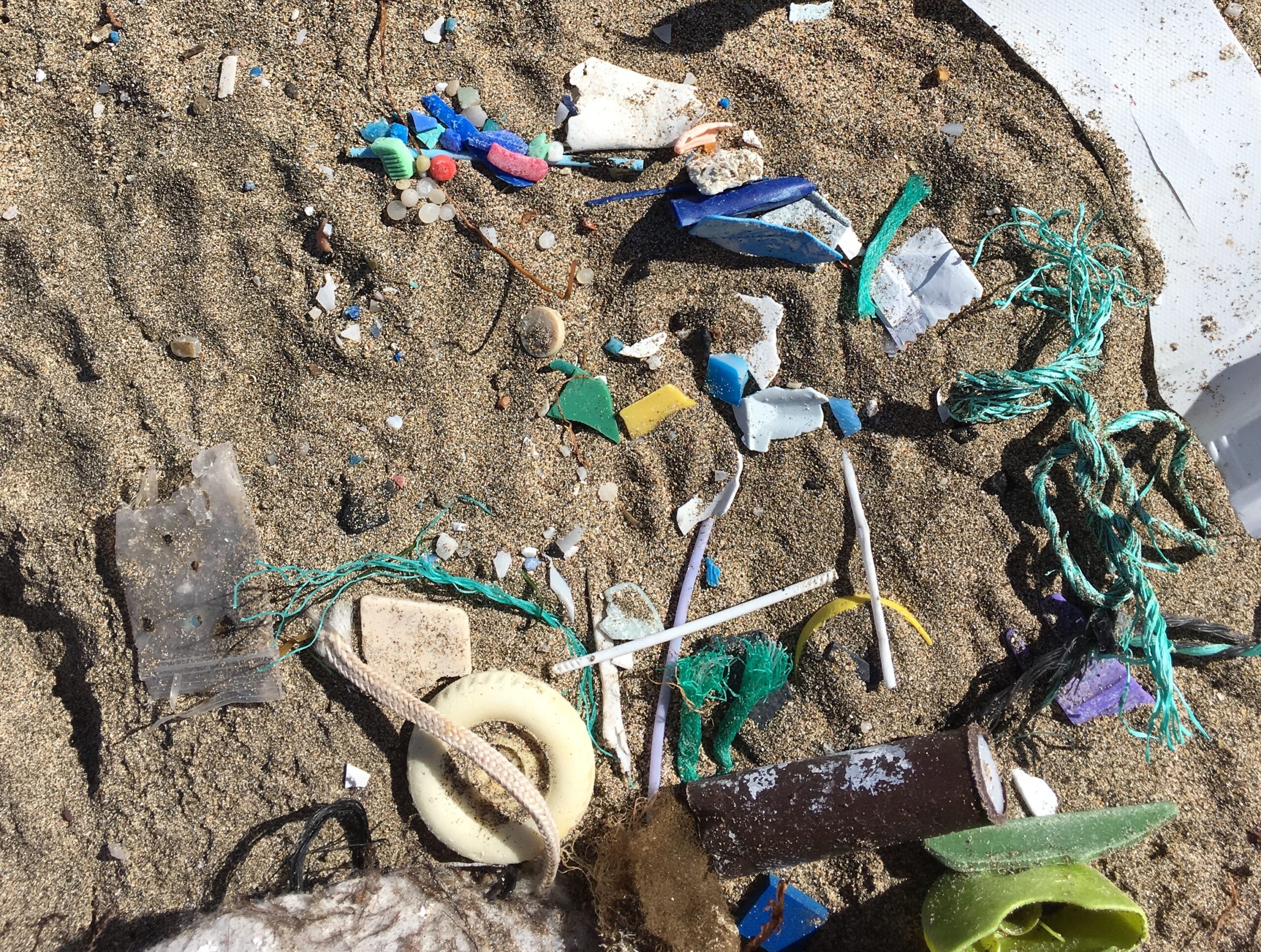 Nach Modellrechnungen gelangen aus urbanen Quellen pro Jahr 67 Billionen Mikroplastik-Partikel (die meist durch Zerfall von Makroplastik entstehen) in die Ostsee. (Quelle: F. Klaeger/IOW)