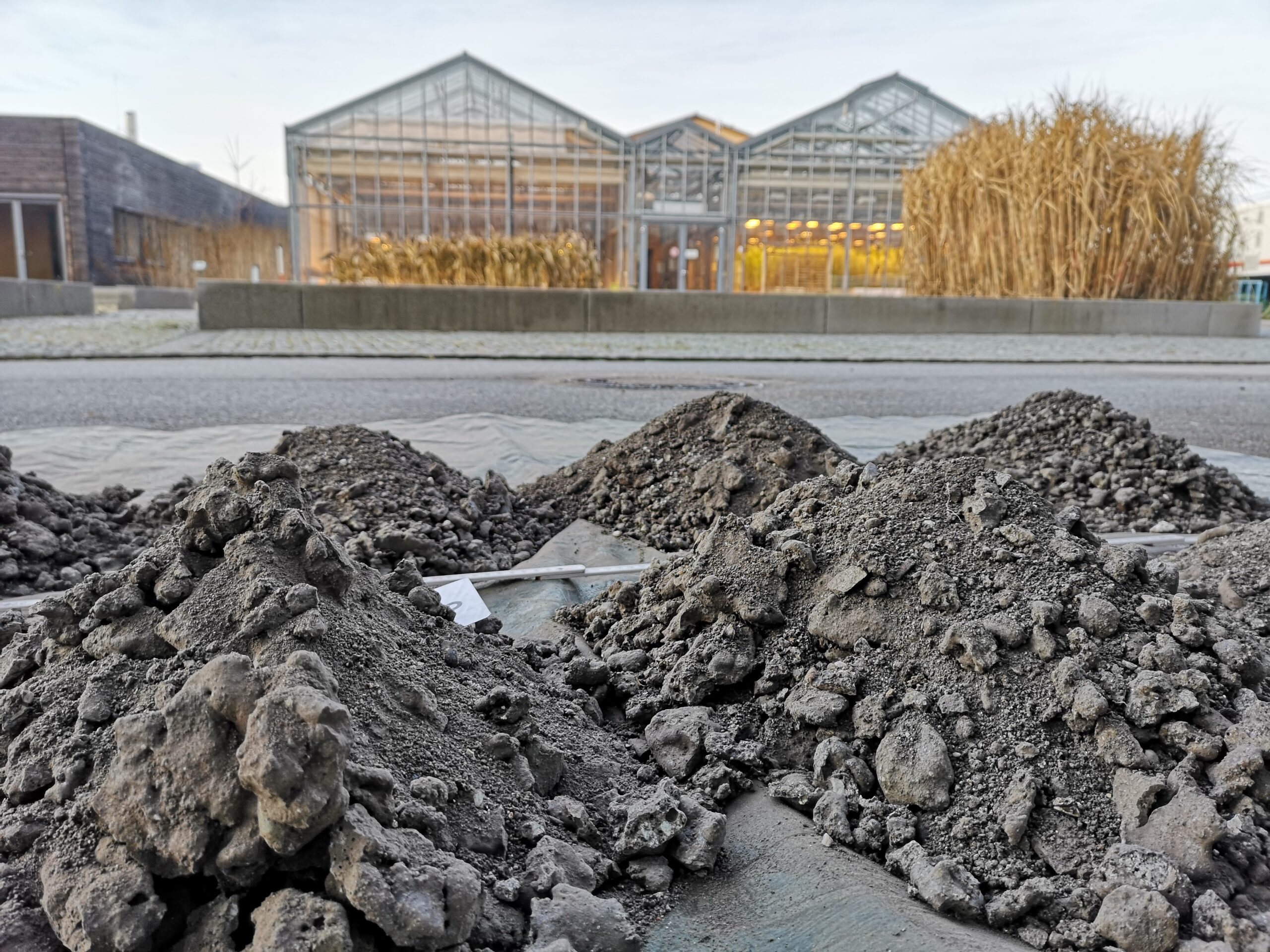 Holzasche als Baustein der Bioökonomie