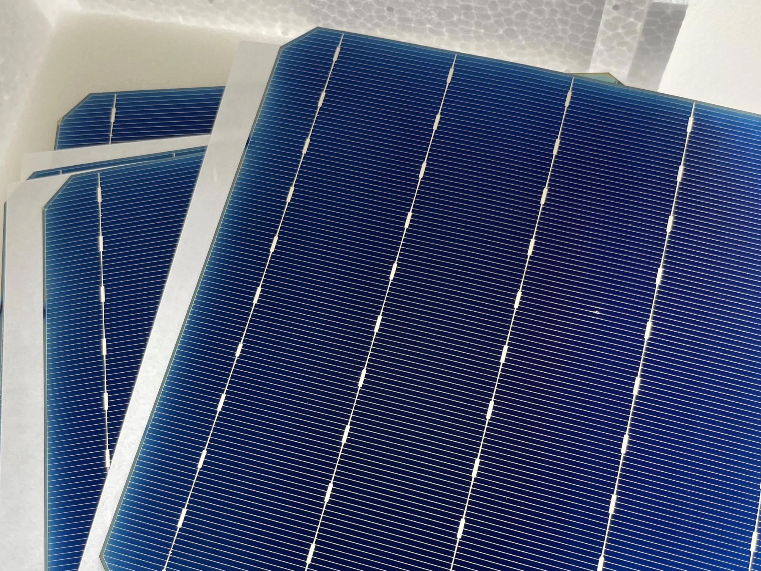 PERC-Solarzellen aus vollständig recyceltem Silizium mit einem Wirkungsgrad von 19,7 Prozent (Quelle: Fraunhofer ISE)