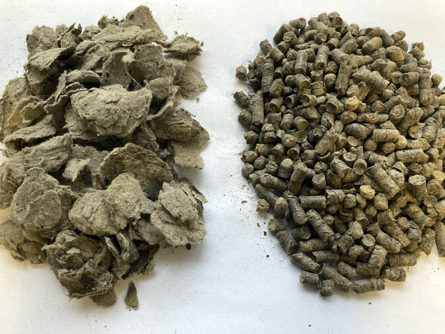 IFAT: Konzepte für Wasser und Biomasse
