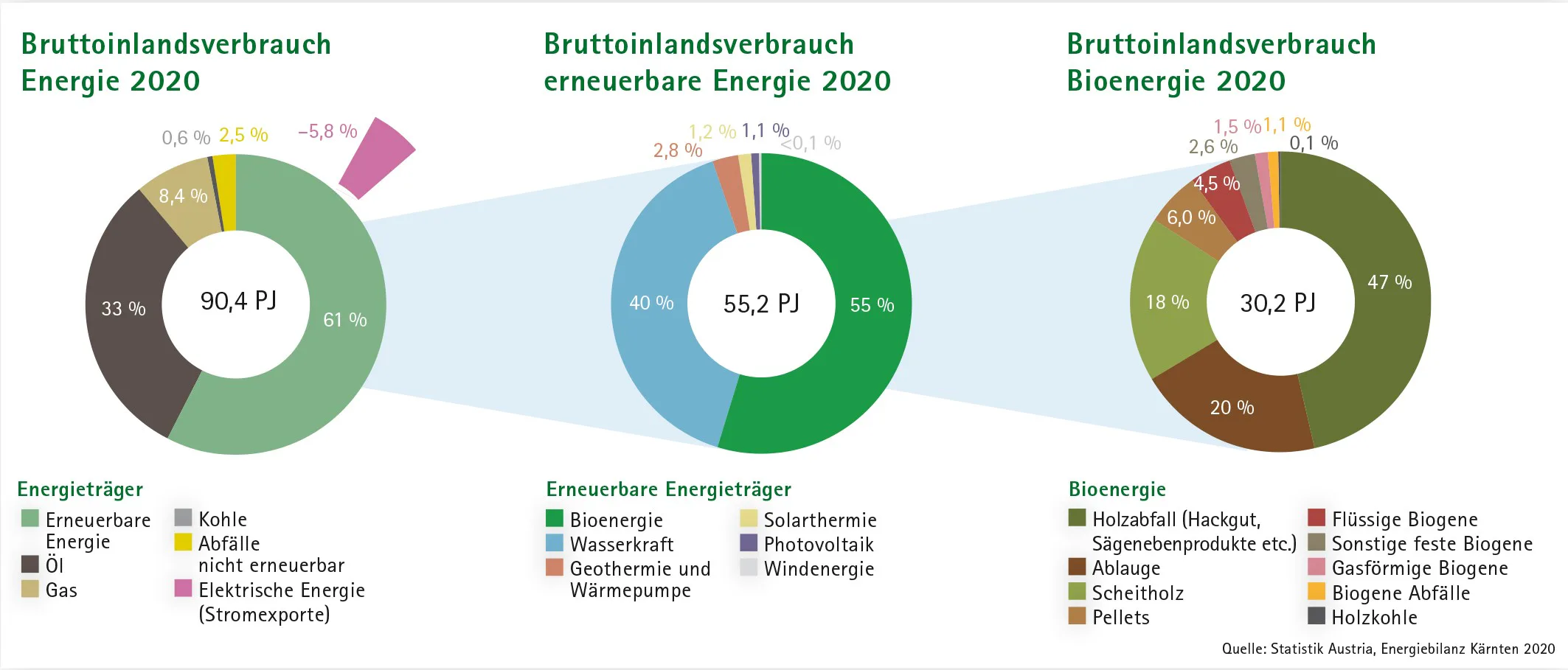 Kärnten verfügt mit etwa 60 % über den österreichweit höchsten Anteil erneuerbarer Energieträger am Bruttoinlandsverbrauch Energie. Abbildung: Österreichischer Biomasseverband