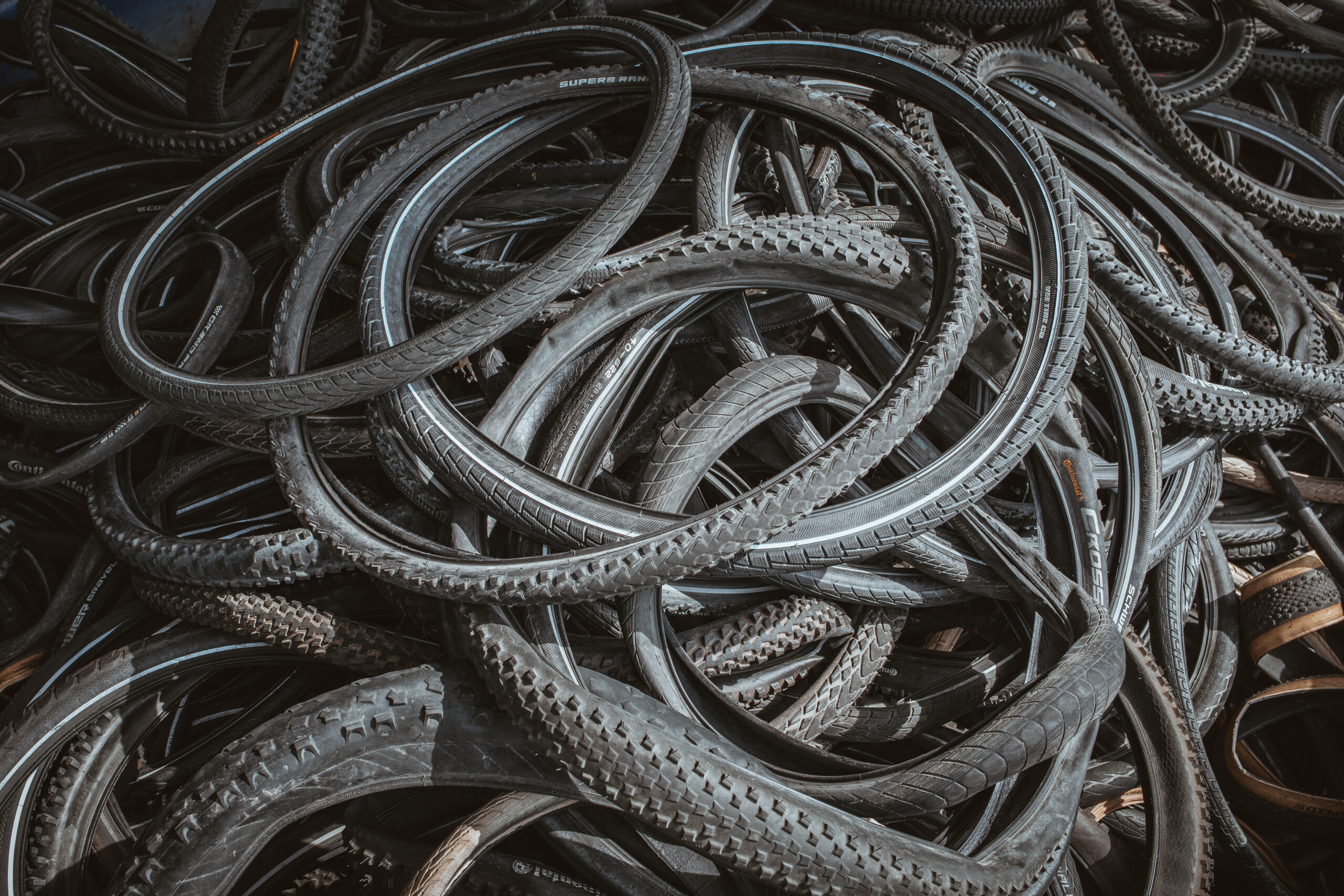 Bild: Schwalbe