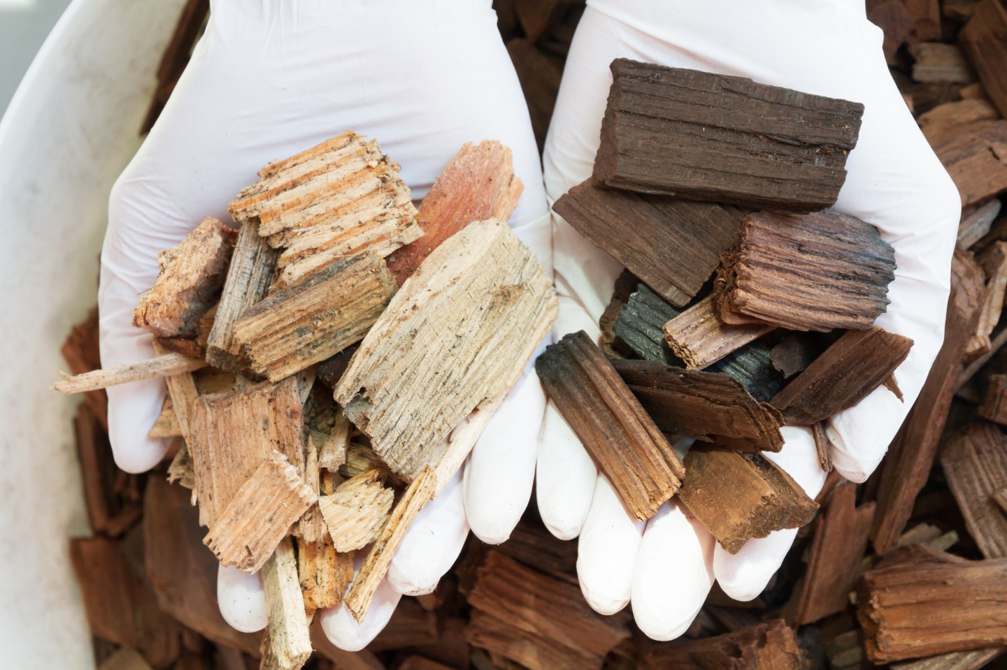 Mittels überhitztem Wasserdampf torrefizierte Buchenholz-Hackschnitzel (rechts) haben im Vergleich zu unbehandelten Hackschnitzeln (links) einen erhöhten Brennwert und sind zudem wasserabweisend. Copyright: Fraunhofer IGB