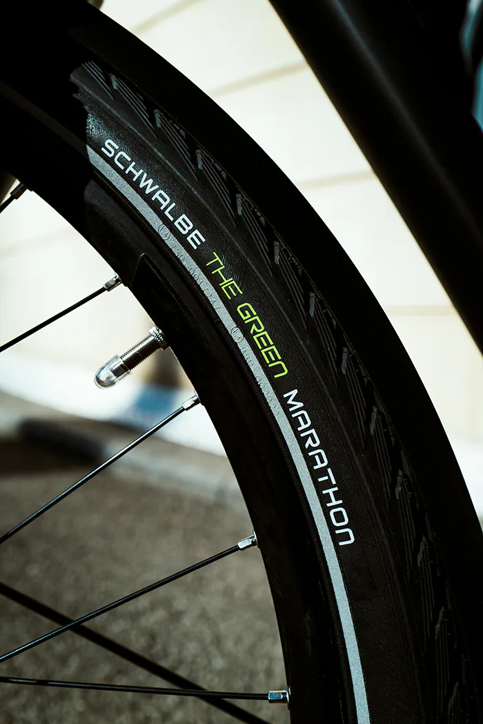 Copyright: Schwalbe
