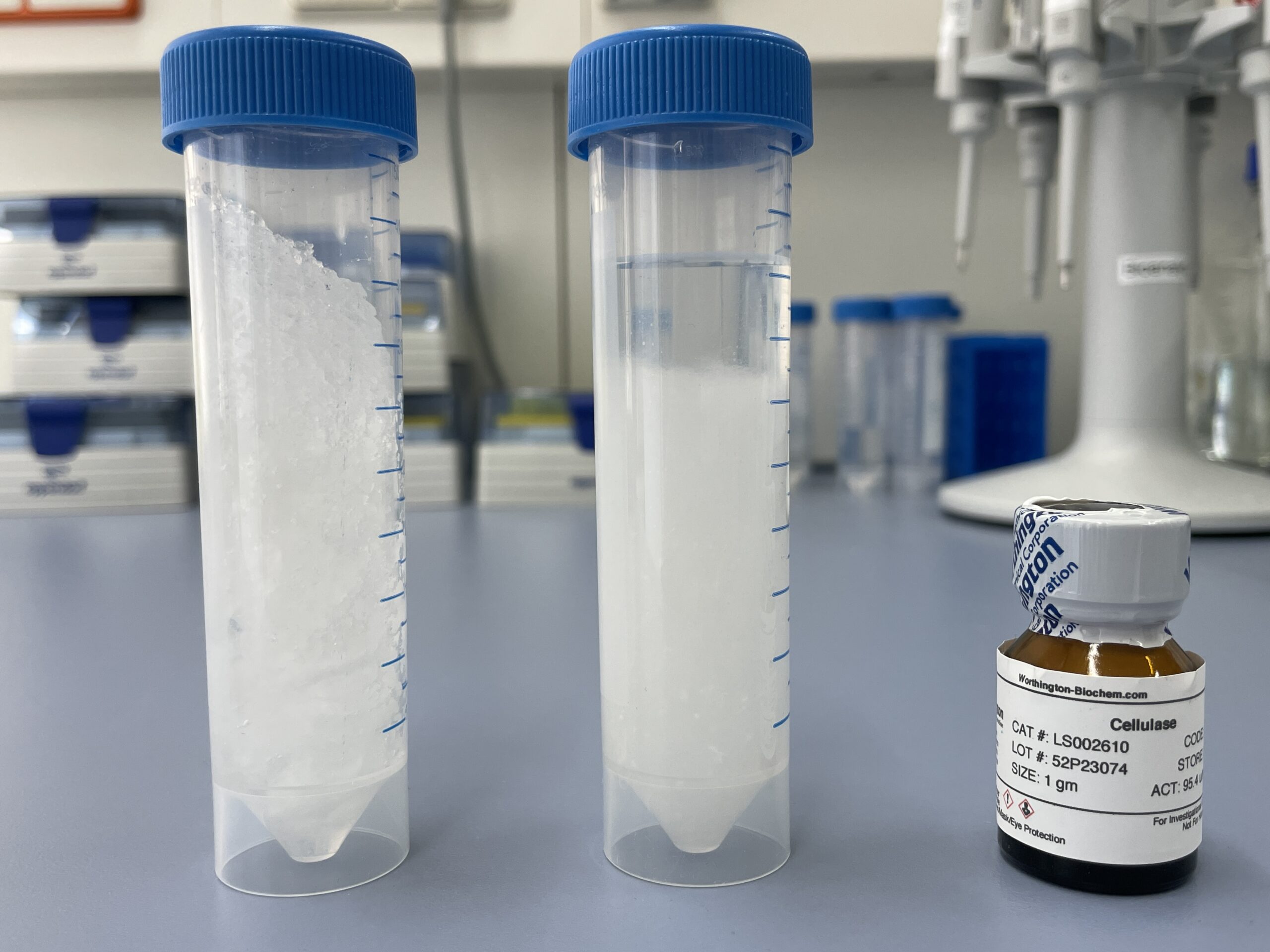 Erfolgreicher Abbau von Zellulose in Verbundmaterialien