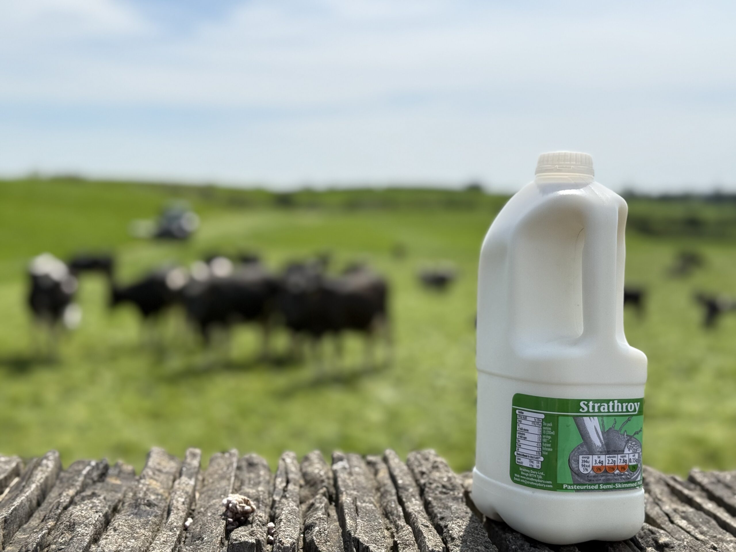 Von der gebrauchten Milchflasche zurück ins Regal: Bei Polymer Matters in Irland zeigt sich, wie erfolgreiches Post Consumer Recycling in der Praxis funktioniert. Gemeinsam mit Lindner Washtech liefert Erema die Technologien, mit denen HDPE-Milchflaschen aus dem Haushaltsmüll effizient zu lebensmitteltauglichem Regranulat verarbeitet werden. Das EU-Zulassungsverfahren läuft bereits. Copyright: Erema GmbH