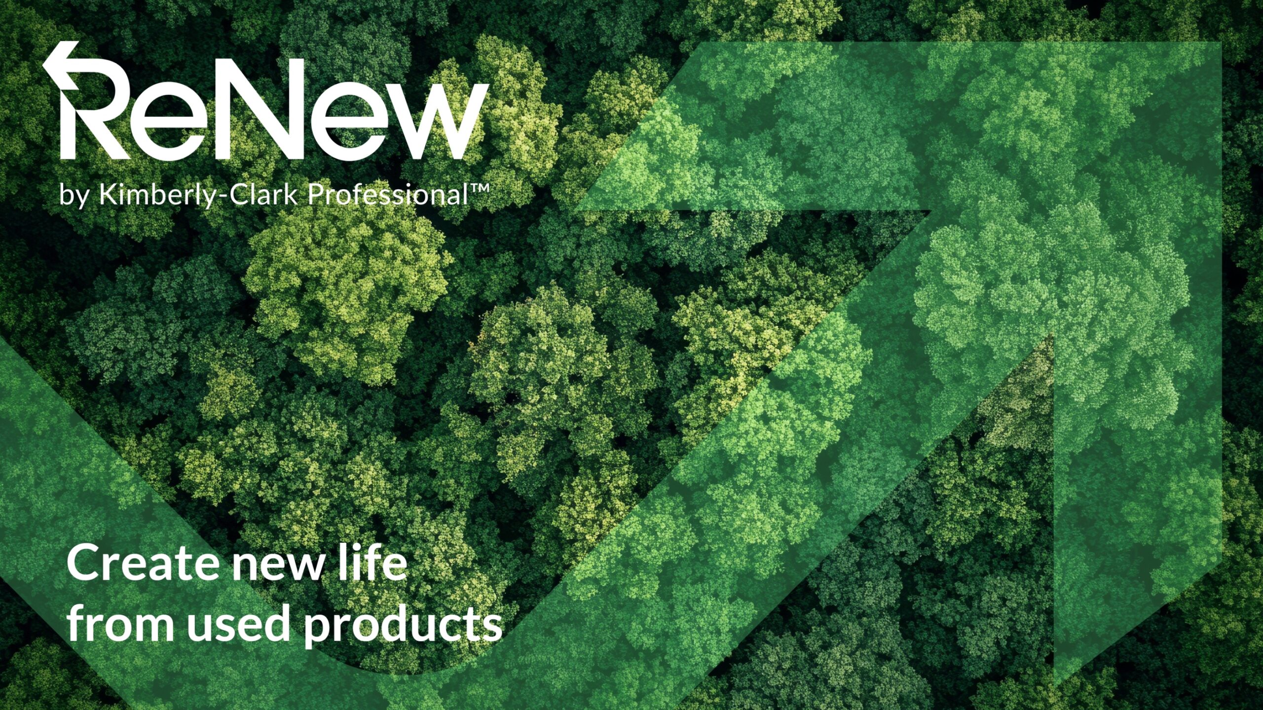 Nachhaltige Kreislauflösungen für Hygieneprodukte: Das Renew-Programm stellt die Weiterentwicklung des bisherigen Right-Cycle-Programms dar. (Quelle: Kimberly-Clark)