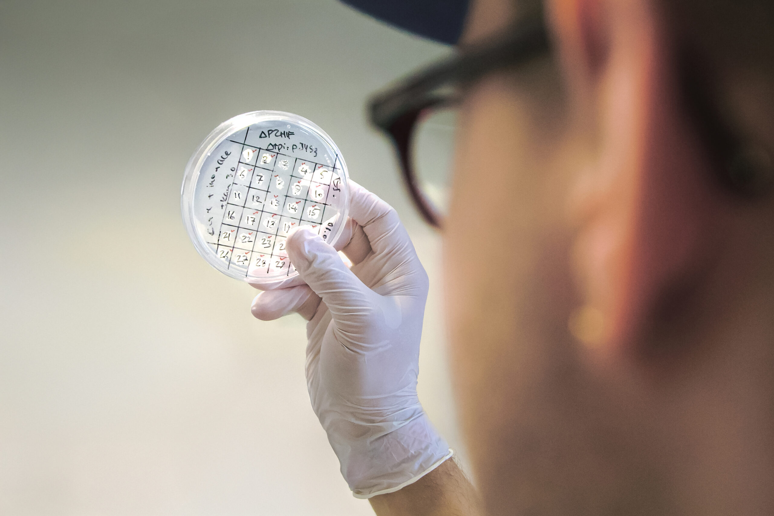 Bakterien als Basis: EU-Projekt will Chemikalien ohne fossile Rohstoffe herstellen