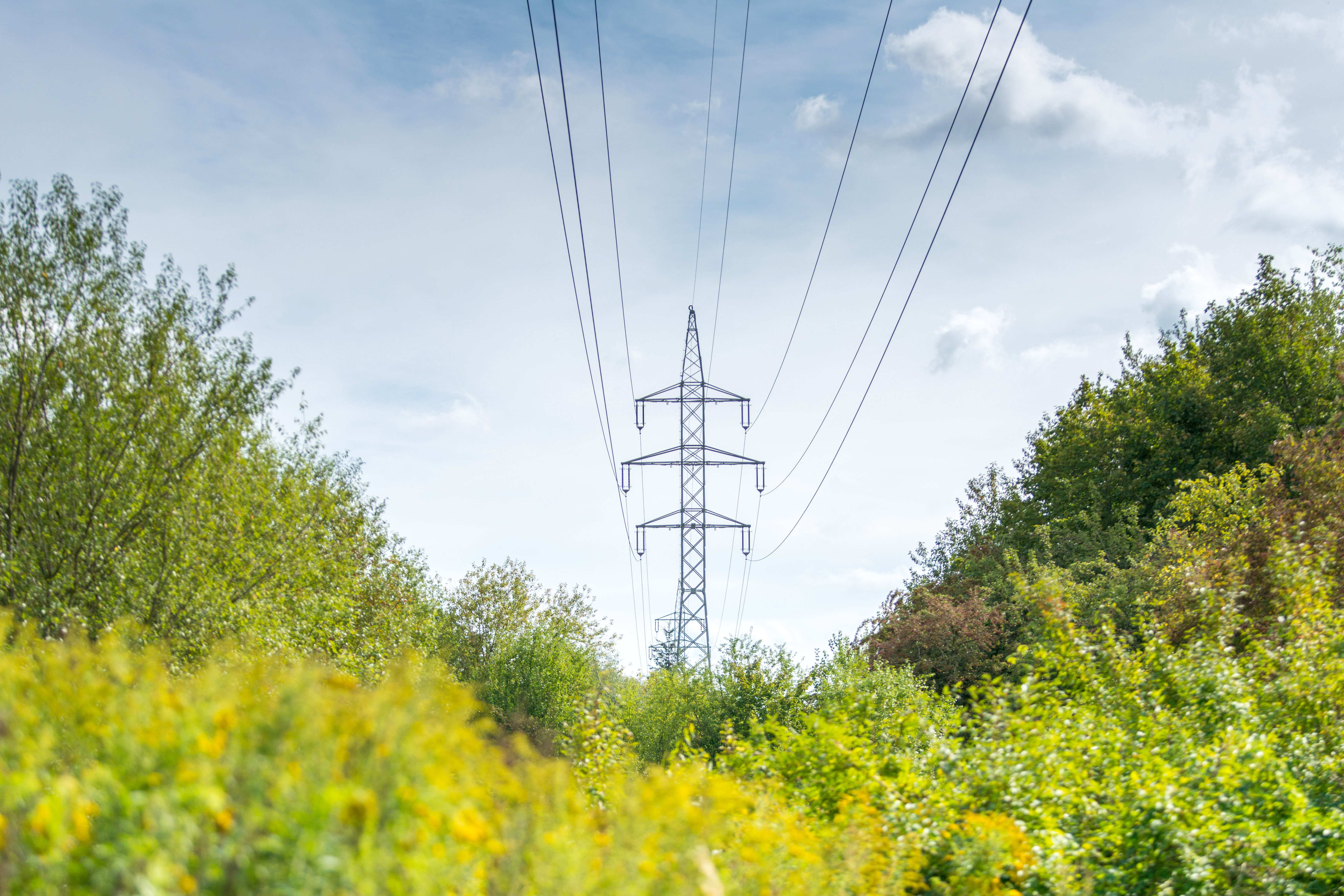 Strom aus Biogas als sinnvolle Ergänzung zu Erdgaskraftwerken. 